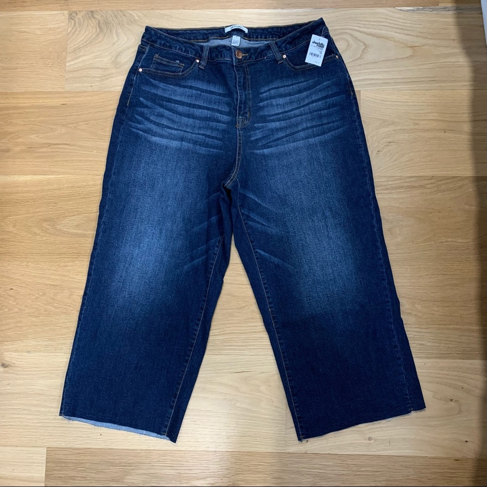 Charlotte Russe Refuge Plus Size Jeans
